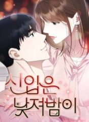 newcomers turn low at night